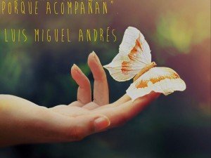 Cómo sanar a través de la imposición de manos. Luis Miguel Andrés.
