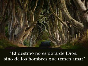 ¿Fue el «destino» o tu «carácter»?