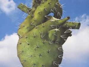 ¿Cómo amar a un corazón herido?