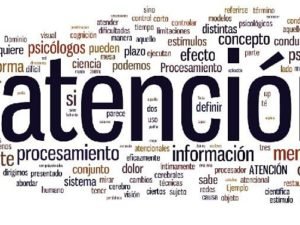 Atención plena… y nada más